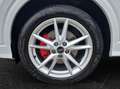 Audi Q2 35 TFSI S tronic S line NaviPlus LED AHK Leder ... Weiß - thumbnail 5