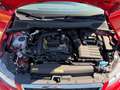 SEAT Ibiza Reference 1,0 TSI Rot - thumbnail 19