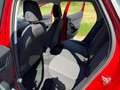SEAT Ibiza Reference 1,0 TSI Rot - thumbnail 14