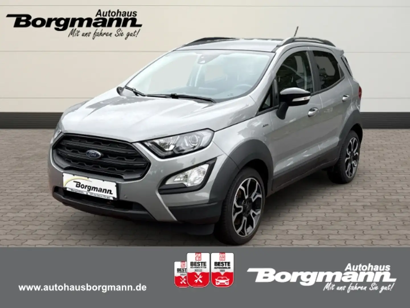 Ford EcoSport Active 1.0 EcoBoost Navi Soundsystem B & O LED App Argent - 1