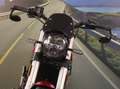 Benelli Leoncino 500 - 2022 - km 6669 Rot - thumbnail 9