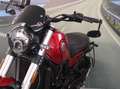 Benelli Leoncino 500 - 2022 - km 6669 Rot - thumbnail 11