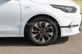 Kia Ceed SW / cee'd SW 1.5 T-GDi Autom.*SONDERPREIS* Weiß - thumbnail 7