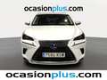 Lexus NX 300 300h Executive 4WD Wit - thumbnail 12
