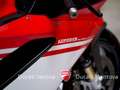 Ducati 1299 Superleggera 1299 Superleggera 204/500 limited edition Rood - thumbnail 18