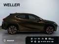 Lexus UX 250h Style Edition *Bi-LED*ACC*CAM*SHZ*CarPlay* Yeşil - thumbnail 10
