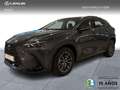 Lexus NX 200t PREMIUM 2WD Gris - thumbnail 1