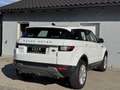 Land Rover Range Rover Evoque SE 2,0 TD4 Aut.*Rückfahrkamera*Anhänger* Weiß - thumbnail 5
