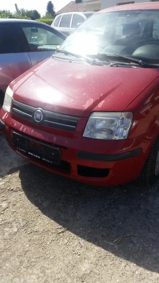 Fiat Panda 1.2 8V Dynamic (169) Rot - 1