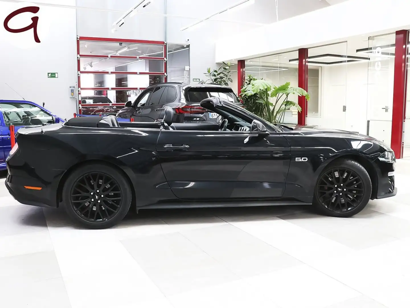 Ford Mustang Convertible 5.0 Ti-VCT GT Aut. Negro - 2