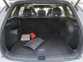 Volkswagen Tayron R-Line 2.0 TDI 4M DSG AHK Matrix Pano 20" Weiß - thumbnail 7
