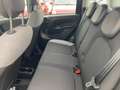 Fiat Panda Cross MY22 City Plus Hybrid 1.0 GS Schwarz - thumbnail 7