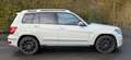 Mercedes-Benz GLK 320 CDI 4Matic*Temp*PANO*Memo*Motor ist fest* Weiß - thumbnail 4