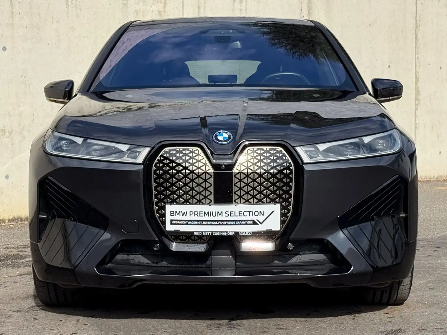 BMW iX iX xDrive40 Grau - 2