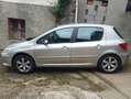 Peugeot 307 307 1.6 16v XS+ XS+ Gris - thumbnail 3