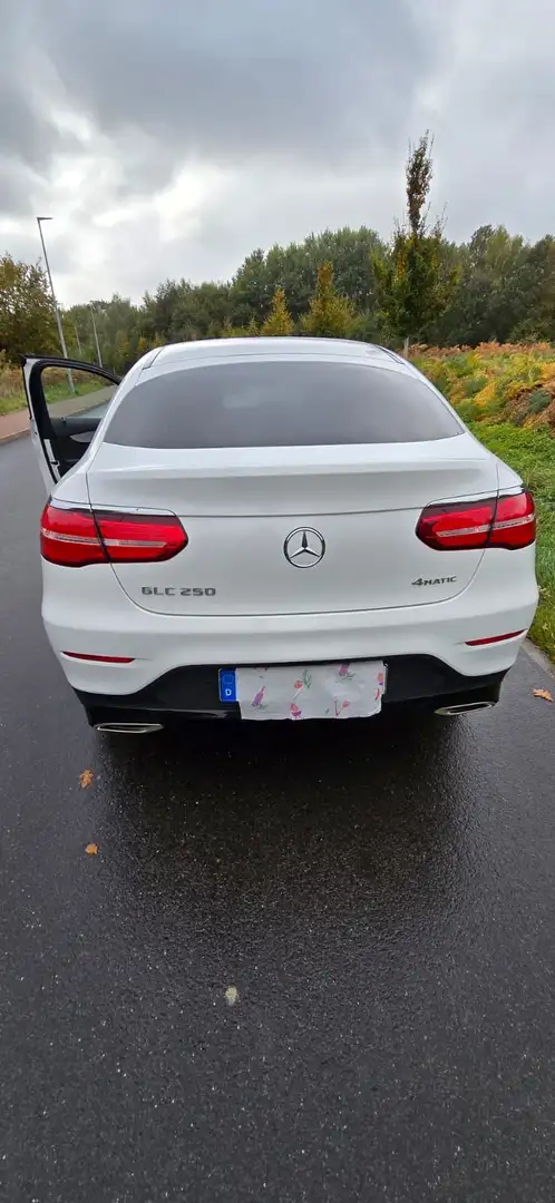 Mercedes-Benz GLC 250 GLC 250 4Matic (253.346) Weiß - 2