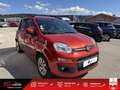 Fiat Panda Panda 0.9i TwinAir - 85 S\u0026S  III Lounge PHASE Rouge - thumbnail 6
