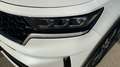 Kia Sorento 1.6 T-GDi PHEV Black Edition 4x4 Blanco - thumbnail 8
