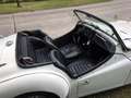 Triumph TR3 2.2 Weiß - thumbnail 4