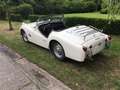 Triumph TR3 2.2 Weiß - thumbnail 5