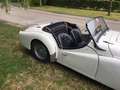 Triumph TR3 2.2 Weiß - thumbnail 3