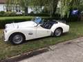 Triumph TR3 2.2 Weiß - thumbnail 1