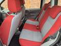 Fiat Panda 1.2 4x4 Climbing Schwarz - thumbnail 12