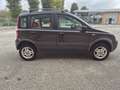 Fiat Panda 1.2 4x4 Climbing Schwarz - thumbnail 8