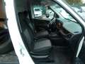 Fiat Doblo Doblò SX Kasten Blanc - thumbnail 11