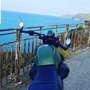 Moto Guzzi V 7 MOTO GUZZI V7 III STONE Verde - thumbnail 4