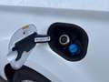 Ford Transit Courier 1.5 tdci 75cv S&S Trend my20 Bianco - thumbnail 12