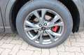Ford Kuga ST-Line X Ecoblue Technologiepak. Winterp. Grau - thumbnail 10