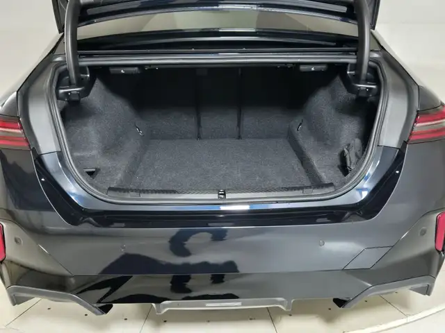 BMW 5 Series view 12