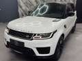 Land Rover Range Rover Sport 3.0 TDV6 HSE *PANO, ,MERIDIAN, LUFT, MATRIX* Weiß - thumbnail 12