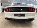 Ford Mustang Fastback 5.0 Ti-VCT GT Aut. White - thumbnail 7