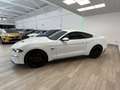 Ford Mustang Fastback 5.0 Ti-VCT GT Aut. White - thumbnail 5
