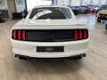 Ford Mustang Fastback 5.0 Ti-VCT GT Aut. Blanco - thumbnail 6
