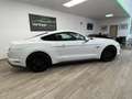 Ford Mustang Fastback 5.0 Ti-VCT GT Aut. Blanco - thumbnail 9