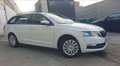 Skoda Octavia Octavia Combi 1.0 TSI 116 ch Drive 12 mois de gara Blanc - thumbnail 3