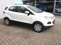 Ford EcoSport Trend 1,0 EcoBoost Weiß - thumbnail 9
