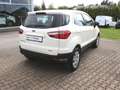 Ford EcoSport Trend 1,0 EcoBoost Bianco - thumbnail 8