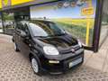 Fiat Panda mit Klima, Bluetooth & Allwetter Klima Schwarz - thumbnail 2