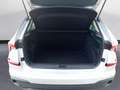 Skoda Kamiq 1.0 TSI Selection Argento - thumbnail 14