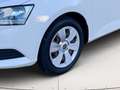 Skoda Fabia 1.0 tsi Business GPL 95cv Bianco - thumbnail 6