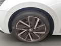 Skoda Octavia Combi Sportline Weiß - thumbnail 20