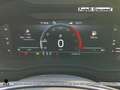 Skoda Karoq 2.0 tdi evo style 115cv dsg Blau - thumbnail 19