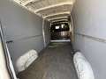 Opel Movano 2.3 CDTI L3H1 DPF 2WD HA Start/Stop Weiß - thumbnail 11