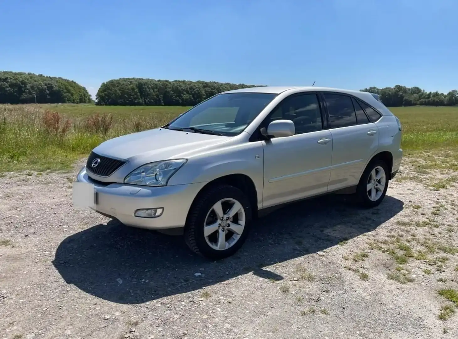Lexus RX 300 RX 300 Executive Executive Grijs - 2