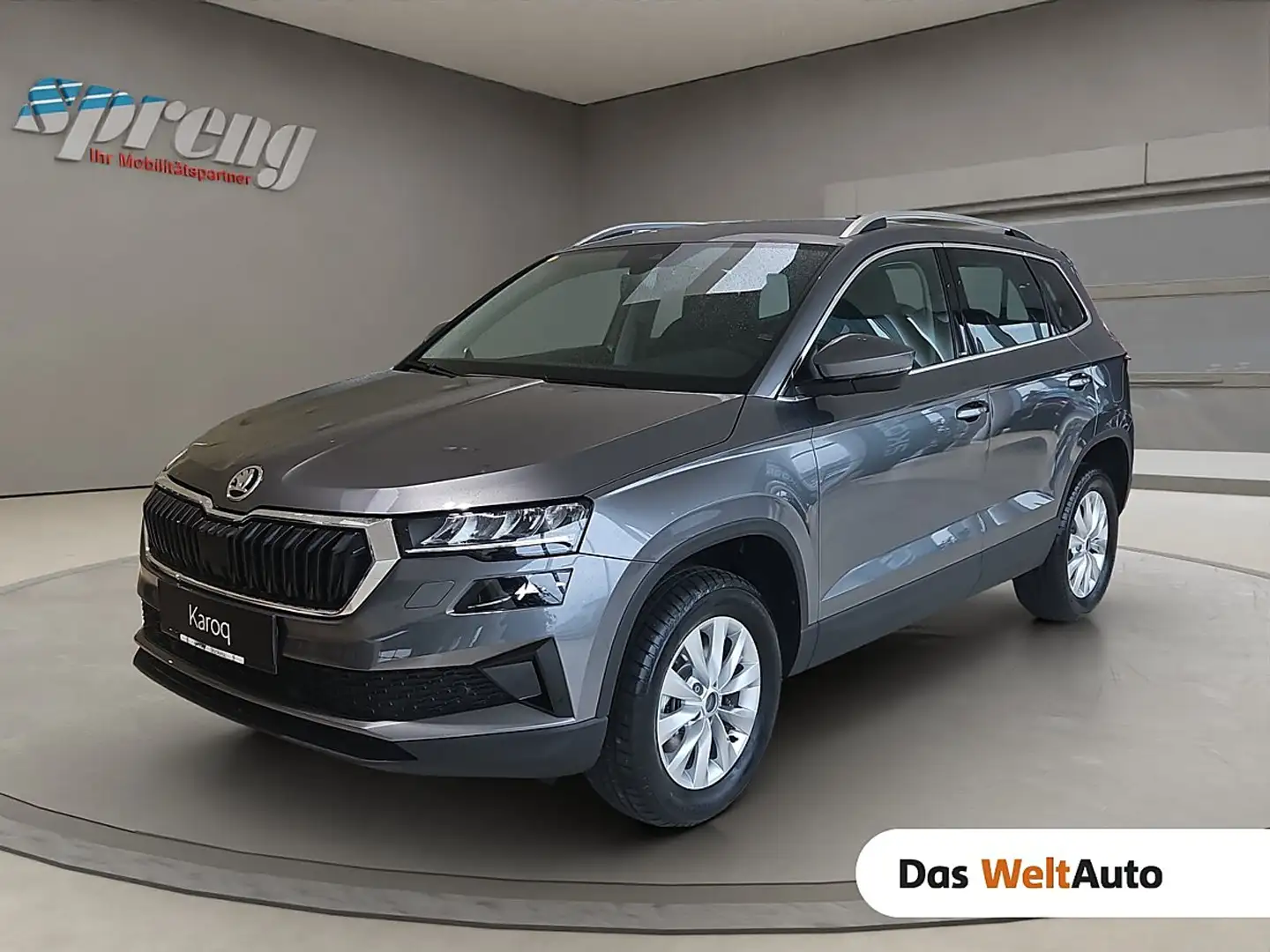 Skoda Karoq Selection TSI DSG ACT Grau - 1