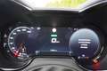 Alfa Romeo Tonale 1.5 VGT mHEV Aut. Matrix ACC Navi Gris - thumbnail 22